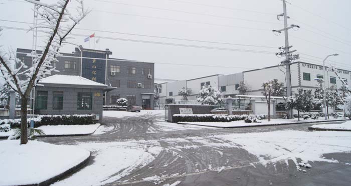 黄山亿利党员干部清理积雪